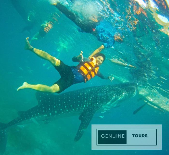 Genuine Tours - OSLOB Snorkeling - What to Bring and Important Information