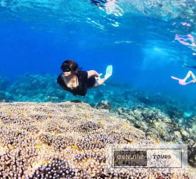 Genuine Tours - OSLOB Snorkeling - Natural Beauty and Marine Life