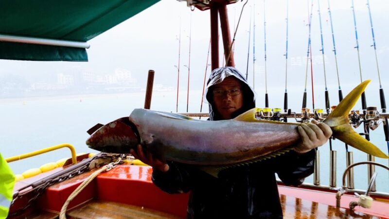 Geoje Island: Deep Sea Fishing - Jigging for Yellow Tail - Transport and Accommodation