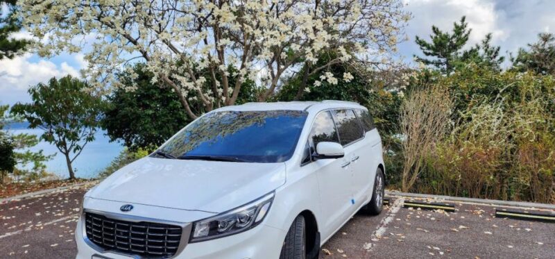 Geoje Island: Private or Shared Day Tours (Max 6) - Inclusions