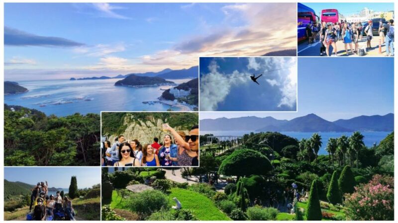 Geoje Island: Private or Shared Day Tours (Max 6) - Booking Information