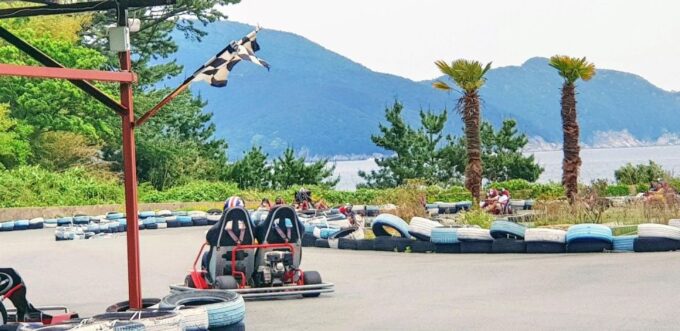 Geoje Island: Private or Shared Day Tours (Max 6) - Customization Options