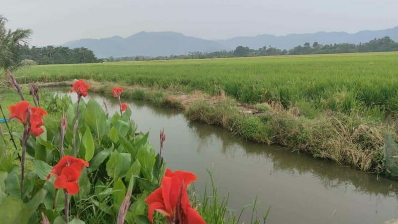 George Town: Balik Pulau Countryside Morning Cycling Tour - Key Points