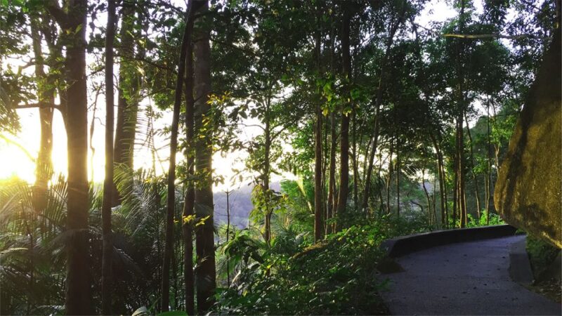 George Town: Penang Habitat Entry Ticket With Nature Trail - Key Points