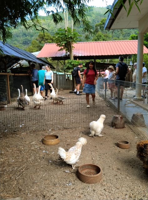 George Town, Penang: Malay Countryside Cycling - Starting the Adventure