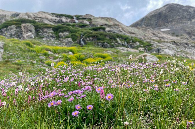 Georgetown via Guanella Pass Private Colorado Adventure Tour - FAQs