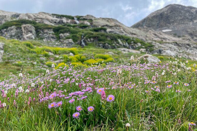Georgetown via Guanella Pass Private Colorado Adventure Tour - Final Thoughts