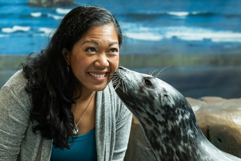 Georgia Aquarium: Harbor Seal Animal Encounter - Key Points