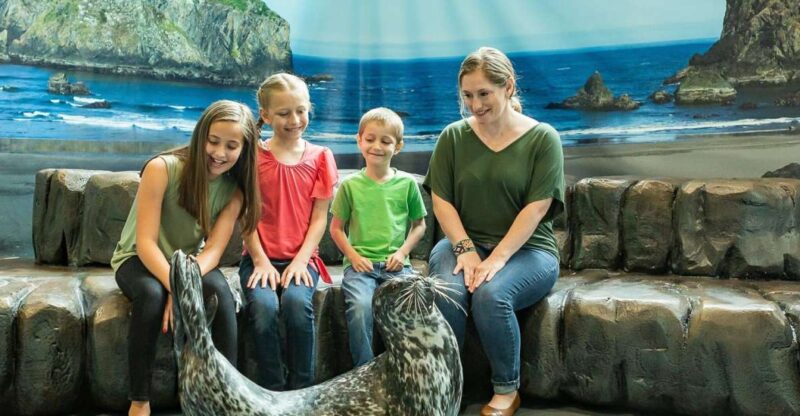 Georgia Aquarium: Harbor Seal Animal Encounter - Encounter Details