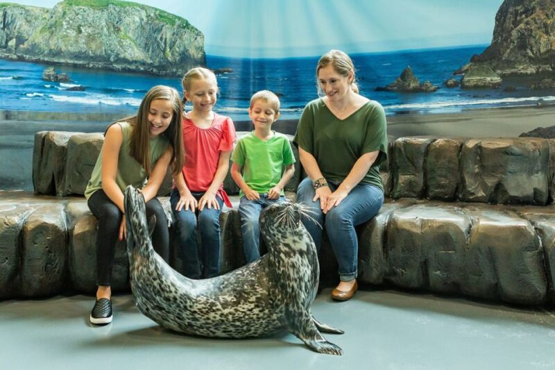 Georgia Aquarium: Harbor Seal Animal Encounter - Educational Aspects