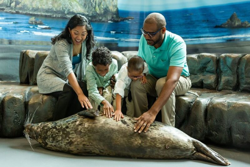 Georgia Aquarium: Harbor Seal Animal Encounter - Meeting Point and Parking