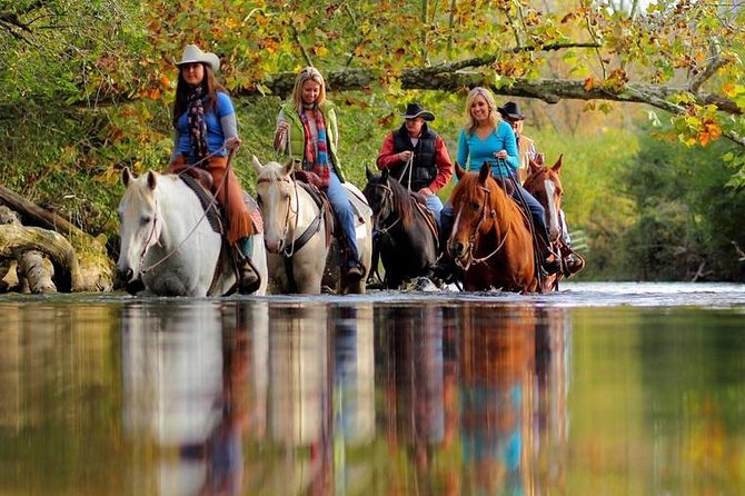 Georgia Horseback Ride With Wine Tasting - Whats Included