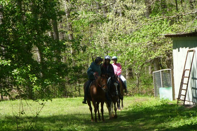 Georgia Horseback Ride With Wine Tasting - Booking and Cancellation Policy