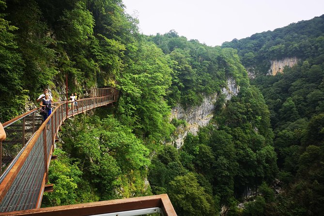 Georgia Tour Package 5 Days - Accommodations