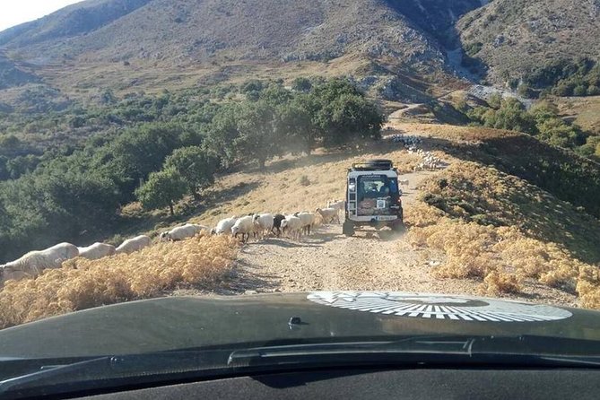 Georgioupolis Safari Off Road Tours Outdoor Activities Land Rover Defender - Safety and Accessibility