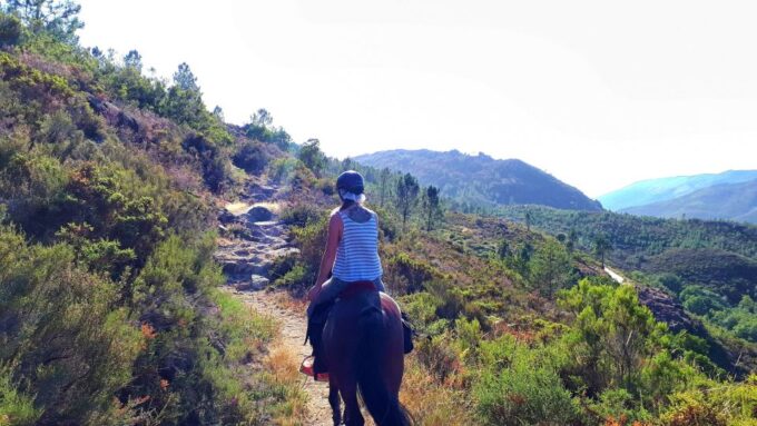 Gerês Braga: Horseback Ride in Peneda Gerês National Park - Duration and Pricing