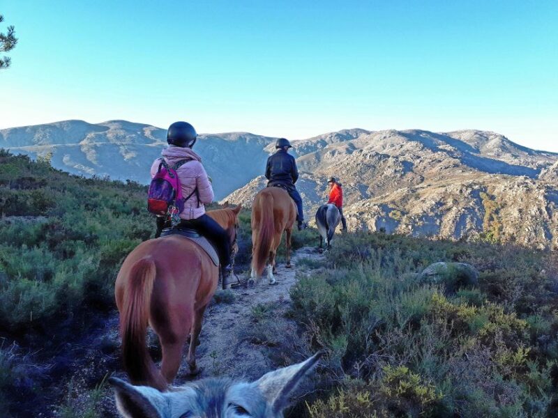 Gerês Braga: Horseback Ride in Peneda Gerês National Park - Highlights and Experience