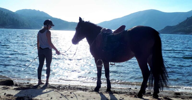 Gerês Braga: Horseback Ride in Peneda Gerês National Park - Inclusions and Requirements