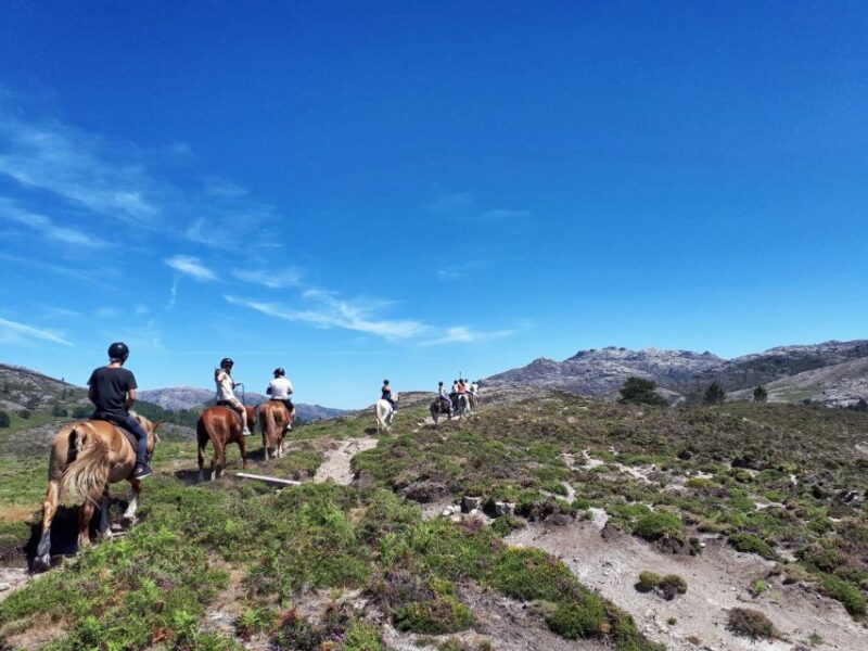 Gerês Braga: Horseback Ride in Peneda Gerês National Park - Meeting Point and What to Bring