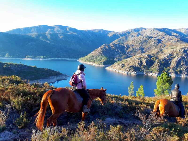 Gerês Braga: Horseback Ride in Peneda Gerês National Park - Customer Feedback