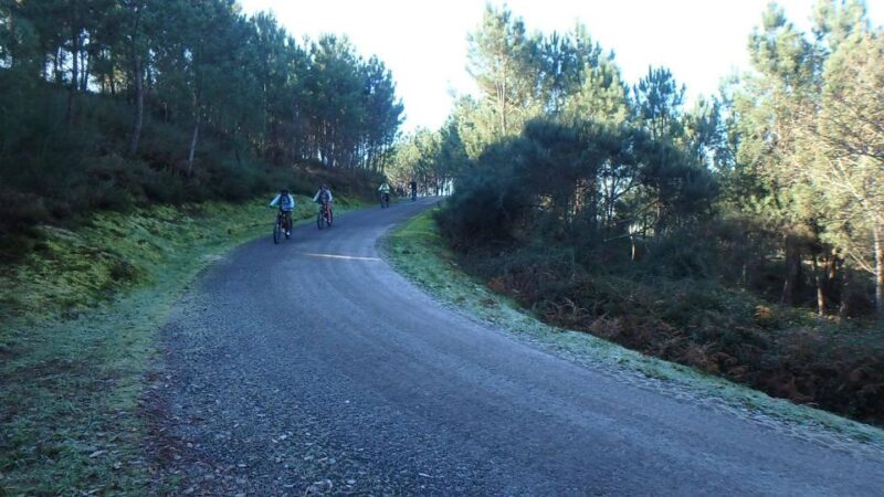 Gerês National Park: E-Bike Tour - Tour Bike Model