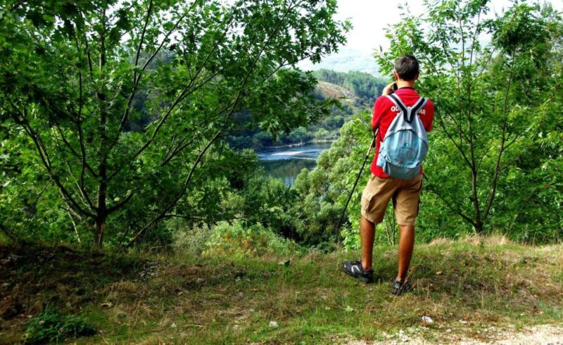 Gerês National Park Full Day Tour - Itinerary Highlights