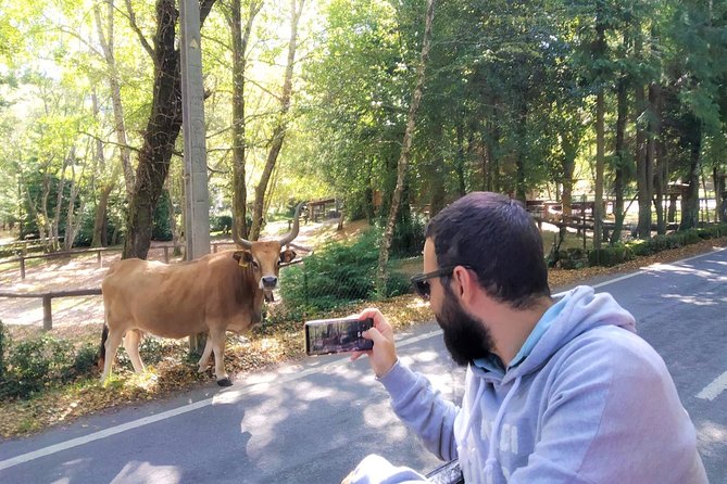 Géris Private Tour (All Inclusive) - São Bento Da Porta Aberta Sanctuary