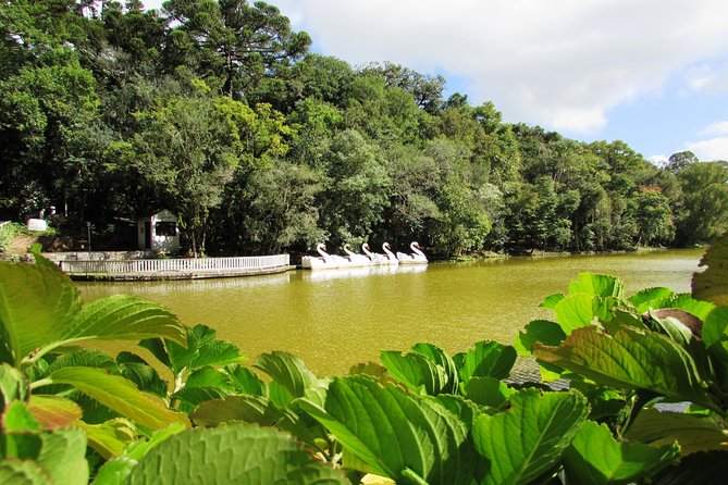German Origins – Nova Petrópolis Tour - Tour Experience