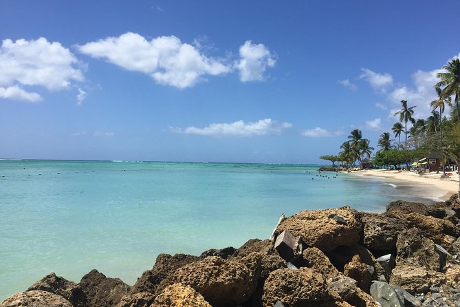 German-Speaking Island Tour - Included Experiences