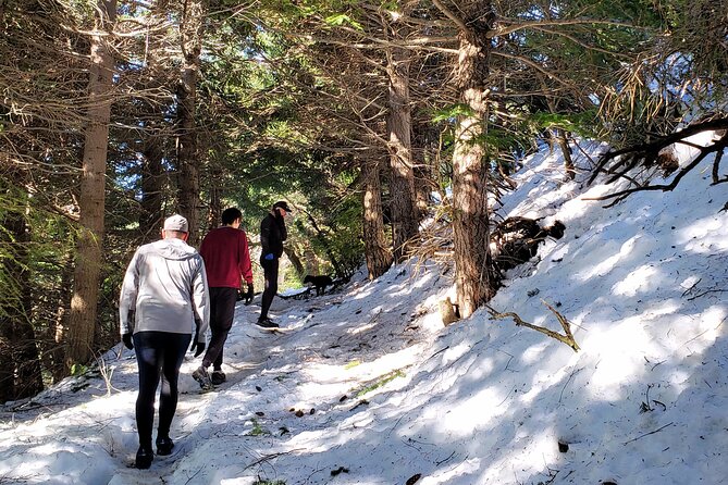GERMAN TREKKING to BERGHOF - Mountain Stories - Pricing, Booking, and Cancellation Policy