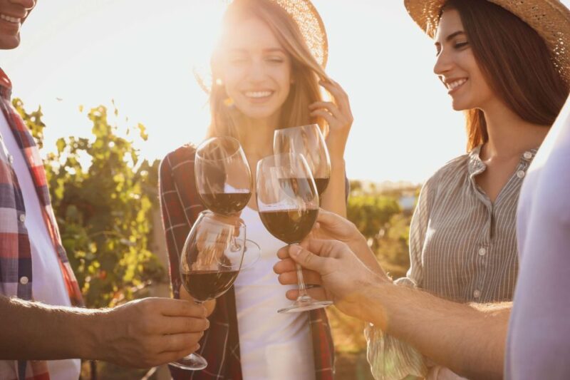 German Wine Self-Guided Tour in Munichs Old Town Wine Bars - Additional Discounts and Offers