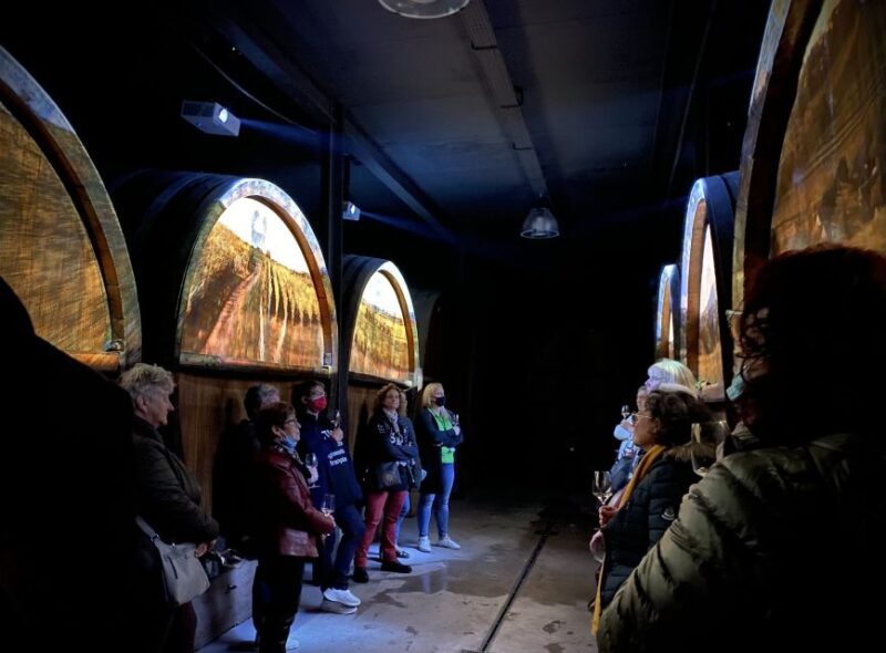 Gertwiller: Alsace Cellar Tour, Wine Tasting & Picnic Basket - Picnic Basket Included