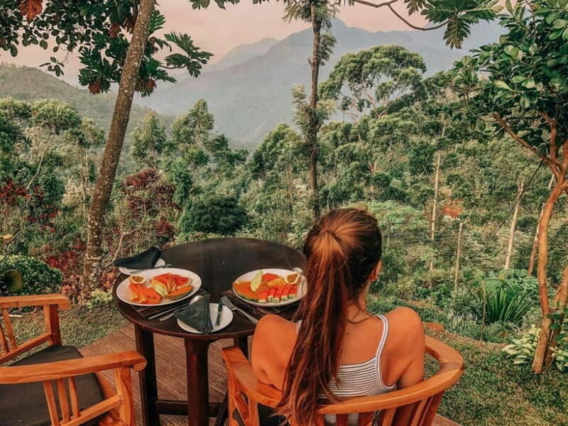 Get a private driver for day tours around Sri Lanka - Key Points
