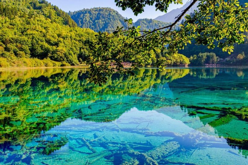 Get Close to the Agility of the Golden Snub-Nosed Monkey - Exploring Huanglong Scenic Area
