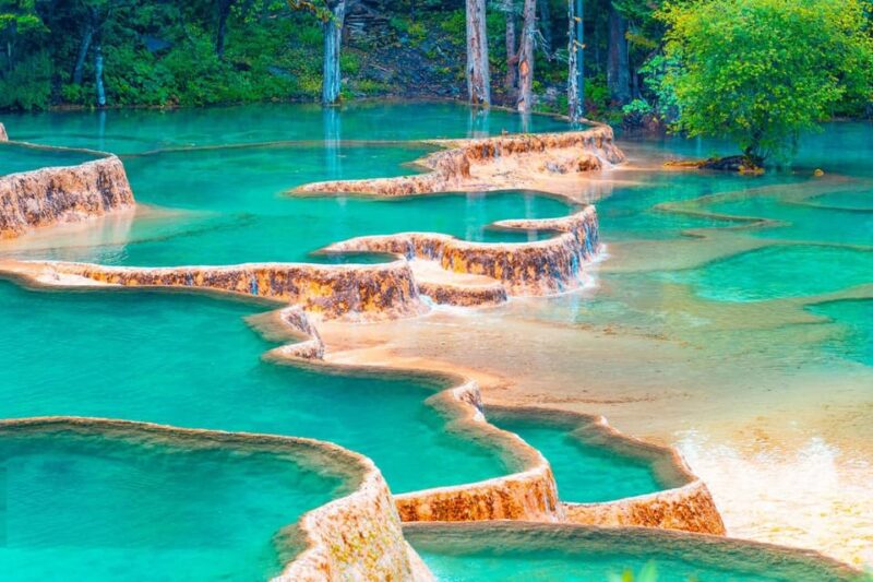 Get Close to the Agility of the Golden Snub-Nosed Monkey - Discovering Jiuzhaigou Valley