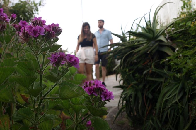 Get Lost in Sintra /Regaleira, Cabo Da Roca & Natural Park. - What to Bring and Note