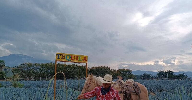 Get on Chile: Know Everything About Tequila in La Rienda - Key Points