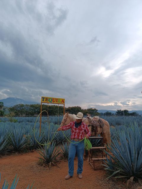 Get on Chile: Know Everything About Tequila in La Rienda - Itinerary and Experience