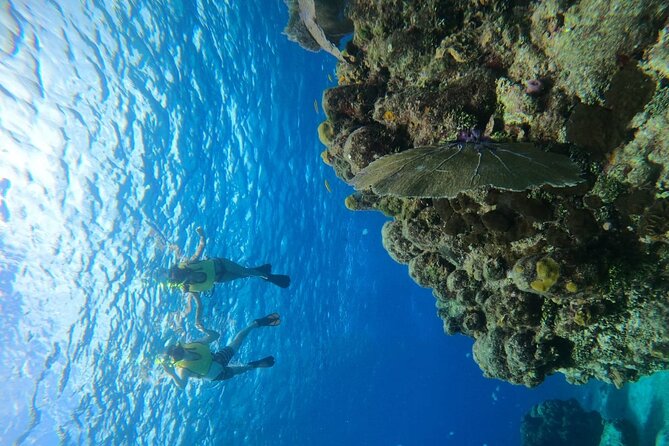 Get to Know Heaven on Earth With Chivis Del Mar Private - Meeting Point and Pickup Details