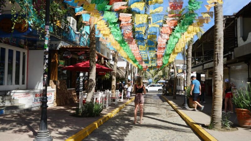 Get to Know Sayulita by Day - Tour Highlights