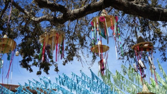 Get to Know Sayulita by Day - Cannabis Friendly