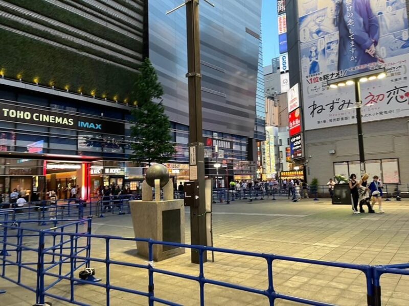 Get to Know Shinjuku (Nightlife Optional) - The History of Kabukicho