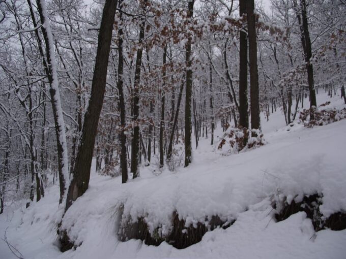 Get to Know South Moravia With Us. 6 Hour Tour. - North of Brno Tour