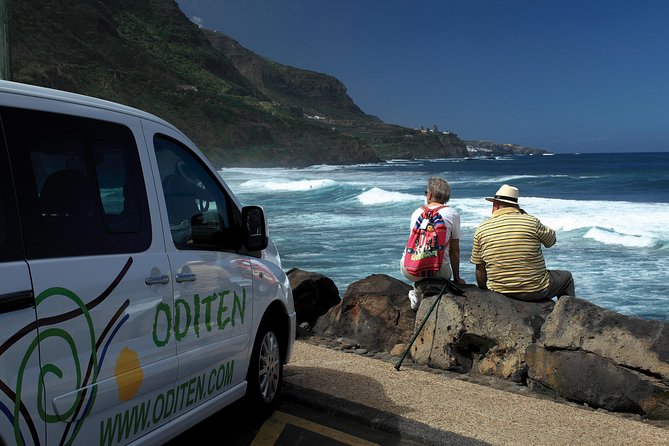 Get to Know the Teide National Park and the North of Tenerife on a Private Tour - Highlights of the Private Tour