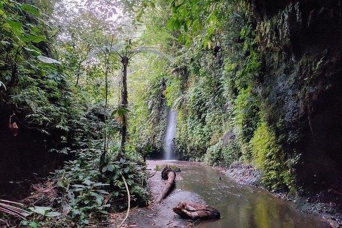 Get Wet on Balis Most Stunning Waterfalls - Tibumana Waterfall