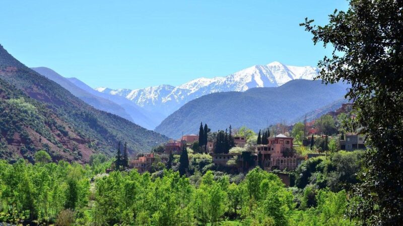 Get Your Lunch in Atlas Mountains Berber House Moroccan Tea - Savoring the Homemade Meal