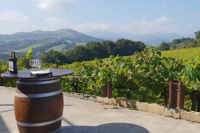 Getaria Txakoli Wine Tour With Hotel Pick-Up From San Sebastian - Guided Tour and Wine Tasting