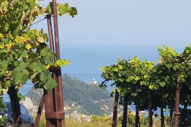 Getaria Txakoli Wine Tour With Hotel Pick-Up From San Sebastian - Traditional Basque Snacks at Winery