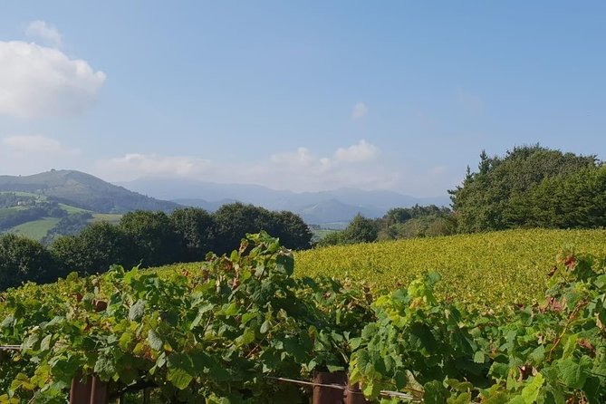 Getaria Txakoli Wine Tour With Hotel Pick-Up From San Sebastian - Confirmation and Accessibility Information