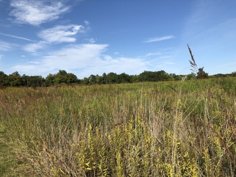 Gettysburg: Beer, Wine, and History Guided Walking Tour - Participant Information
